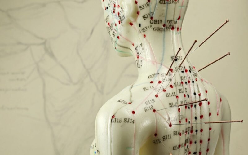 Acupuncture Mannequin